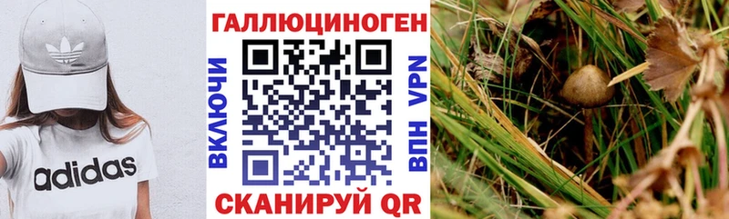 Псилоцибиновые грибы мухоморы  закладки  Долинск 